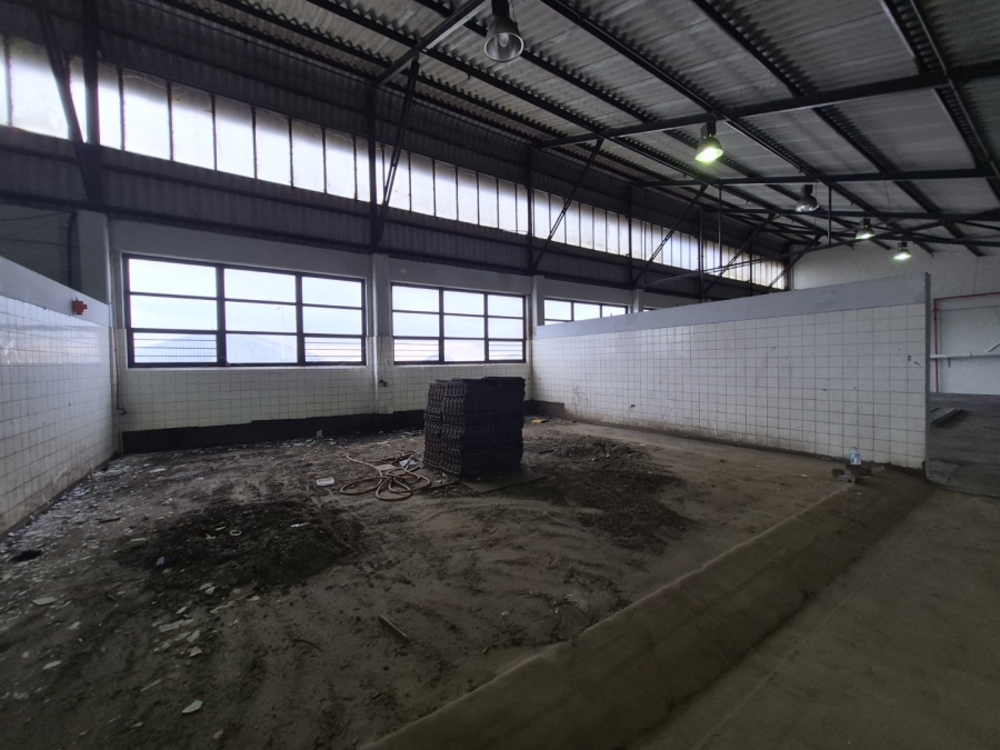 To Let Commercial Property for Rent in Paarden Eiland Western Cape
